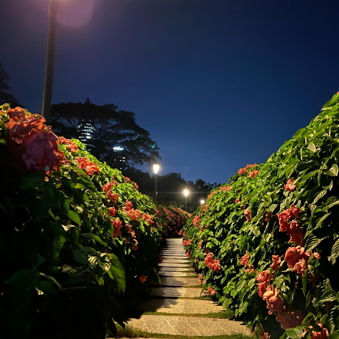 夏天拉屎会出汗