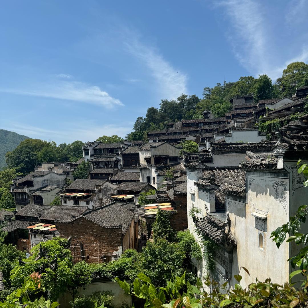 与世无争
