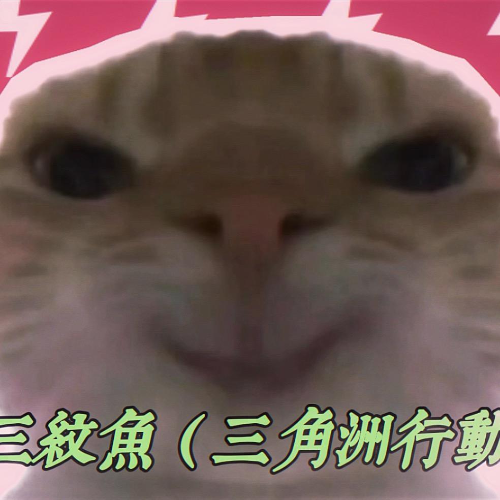 三纹鱼🐟（三角洲行动）