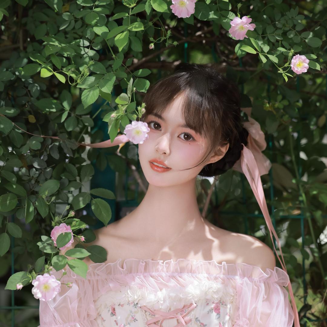 一只歆禾🐰