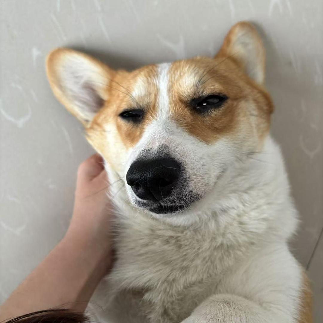 ㅤㅤㅤㅤ会相遇