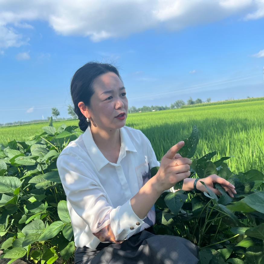 每天农技服务