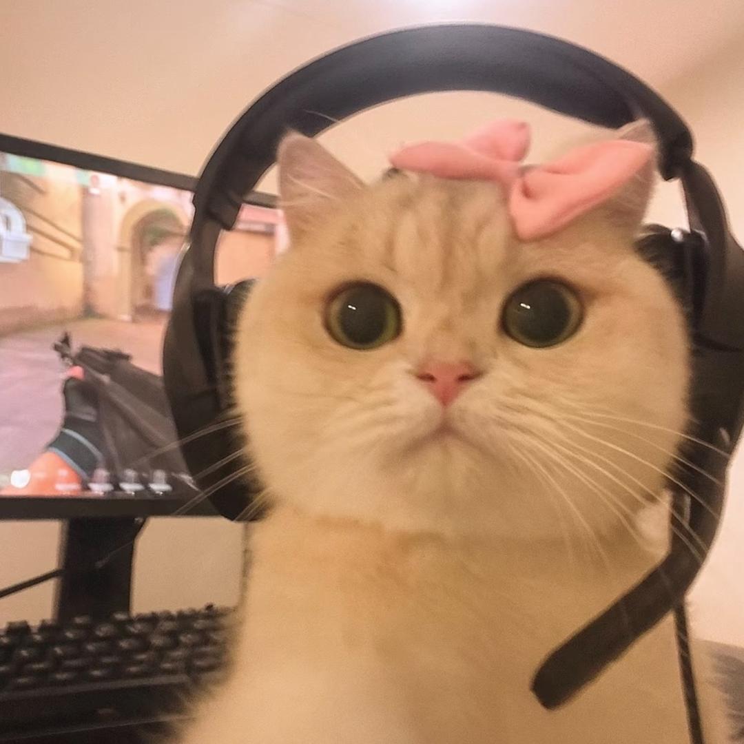 小66b