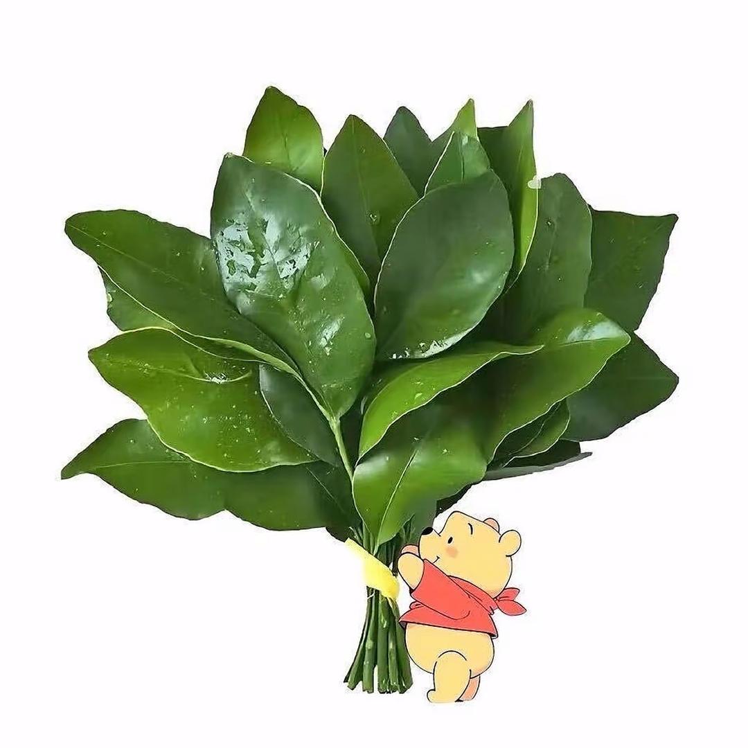 早睡才会美