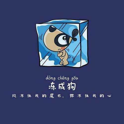 刀刀爱叨叨