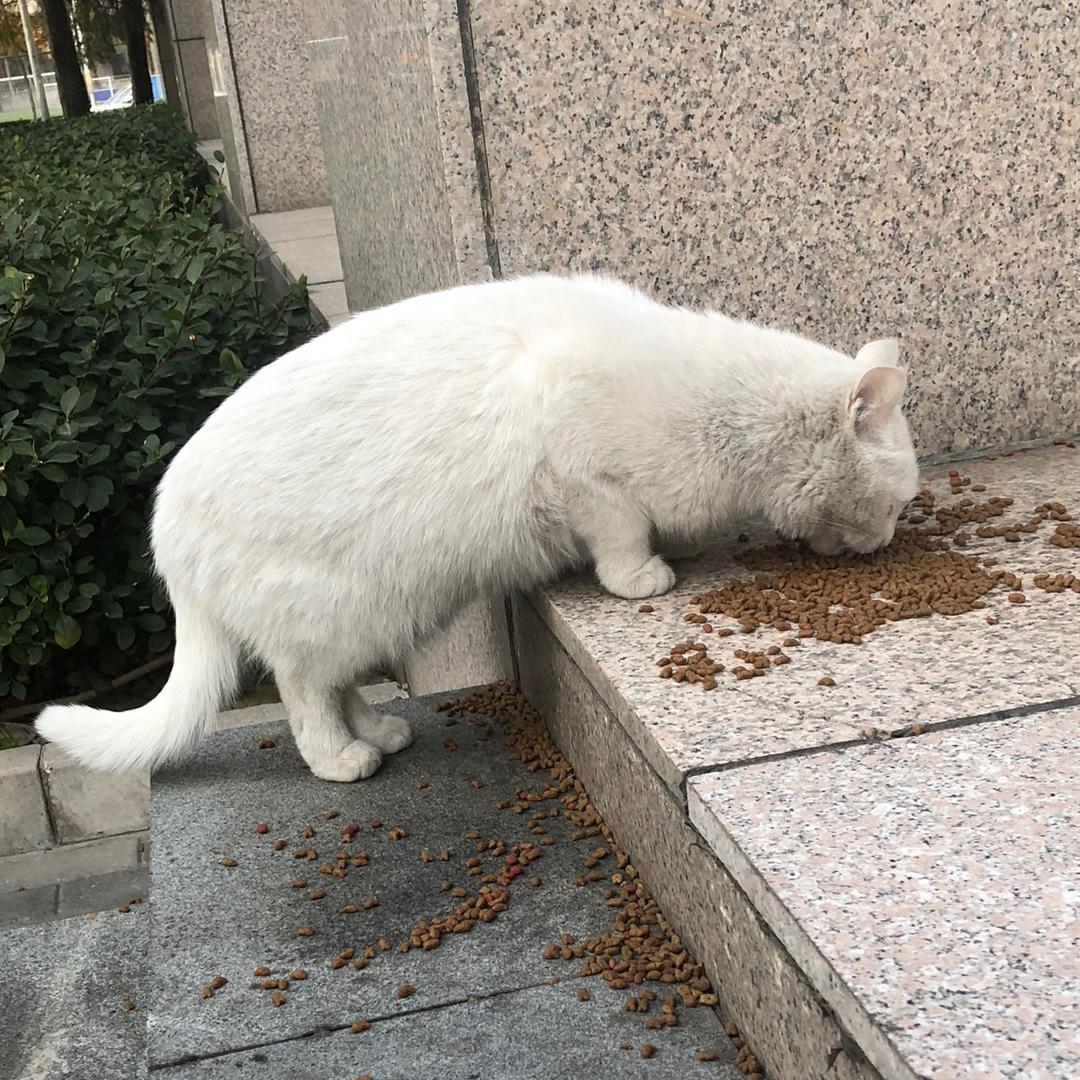 初见M