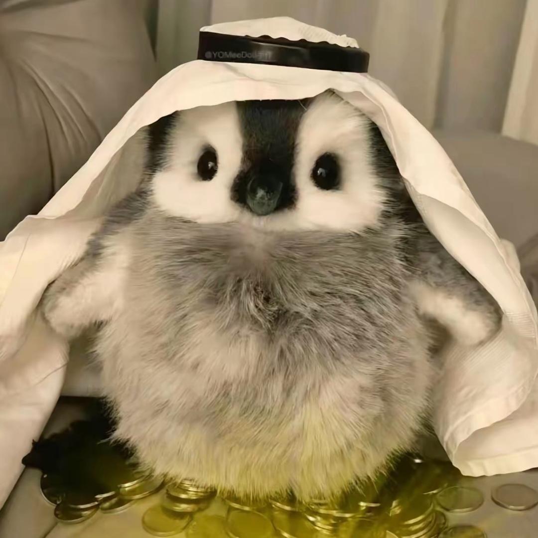 青菜萝卜
