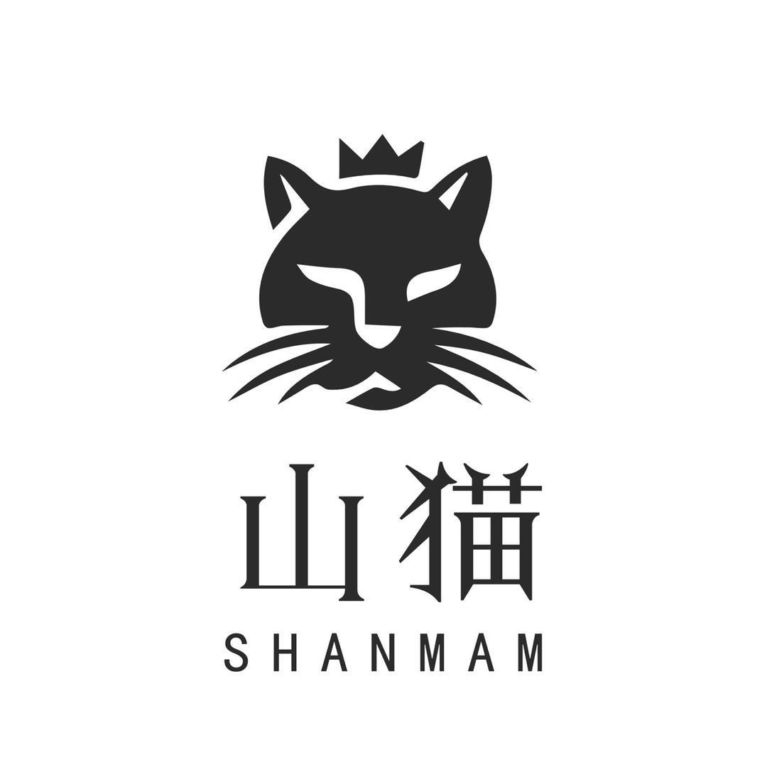 山猫四不像四驱车