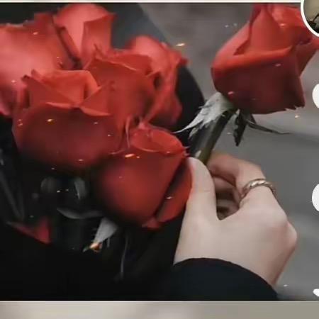 玫瑰之约🌹