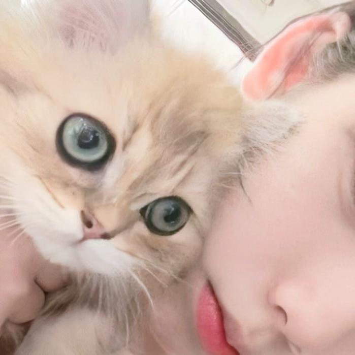 快来当领主冰仔