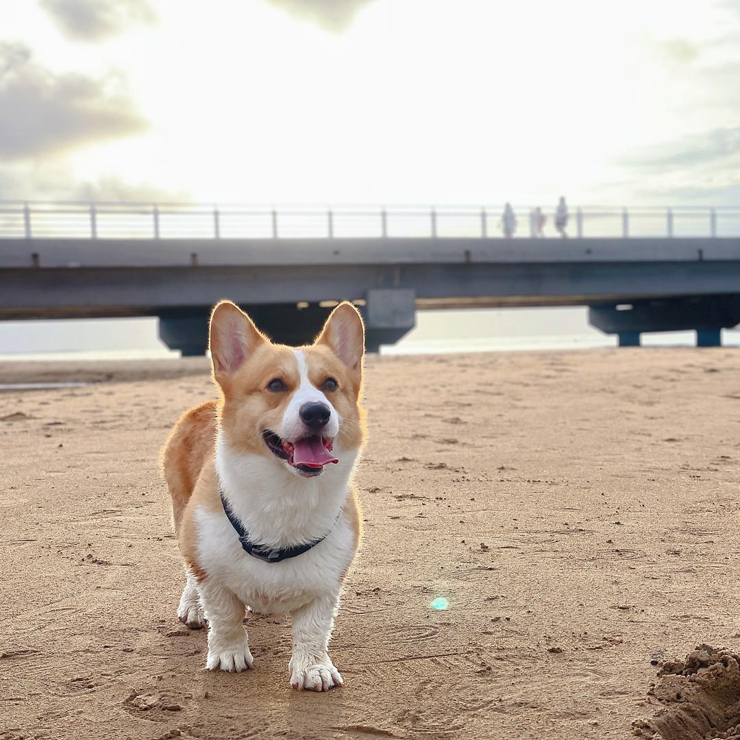 小太阳🌞