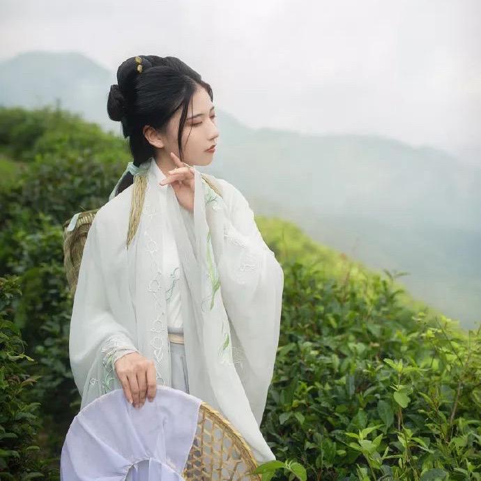 信阳毛尖茶核心产区