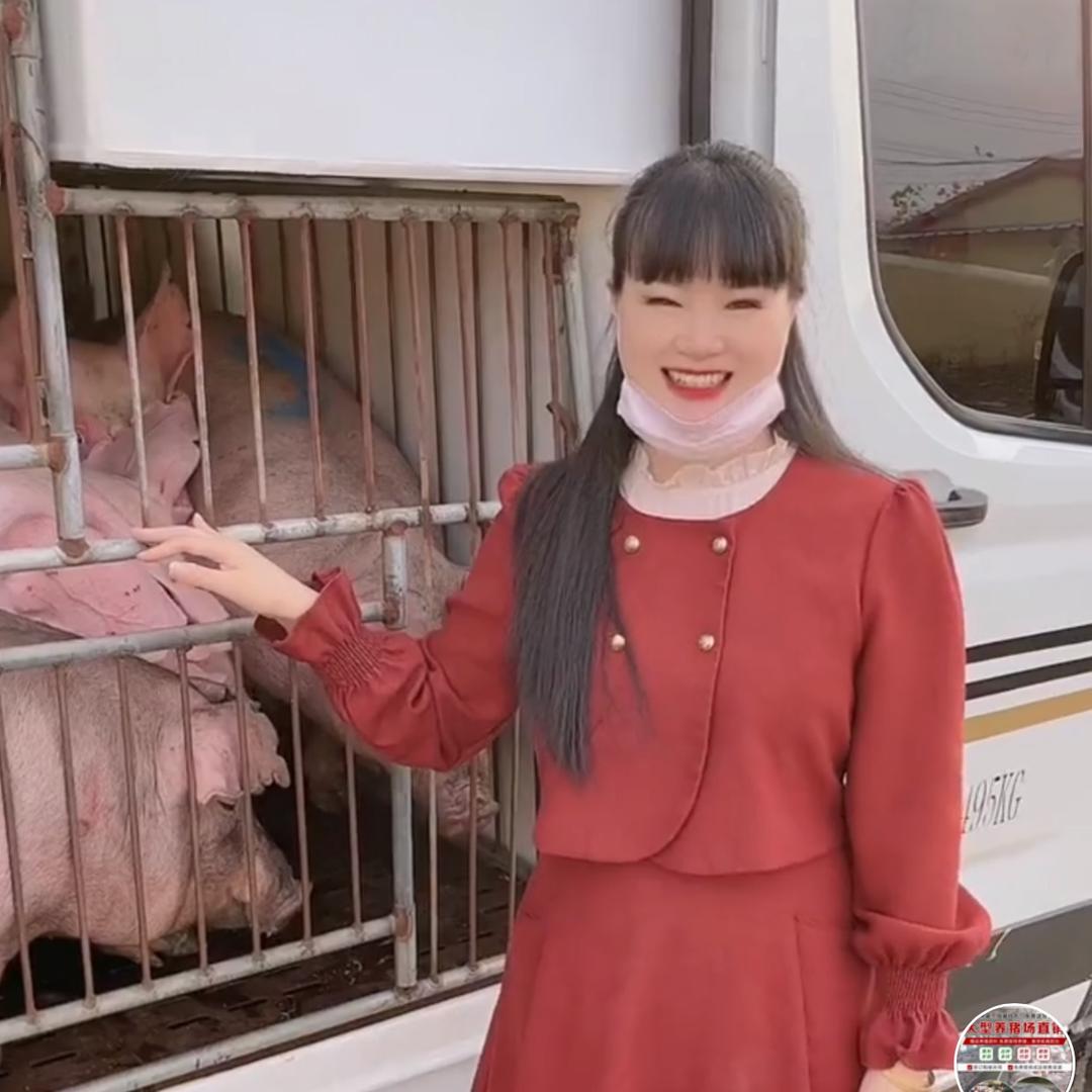 囤福良种级养猪场