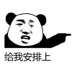 港澳🇲🇴安排哥