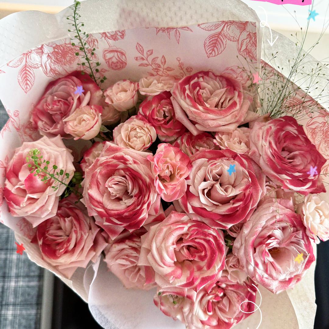 豆鲨包(๓´˘`๓)