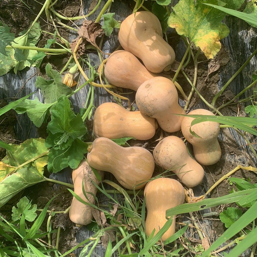 刘先生农产品甄选店