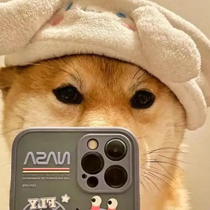 大咪