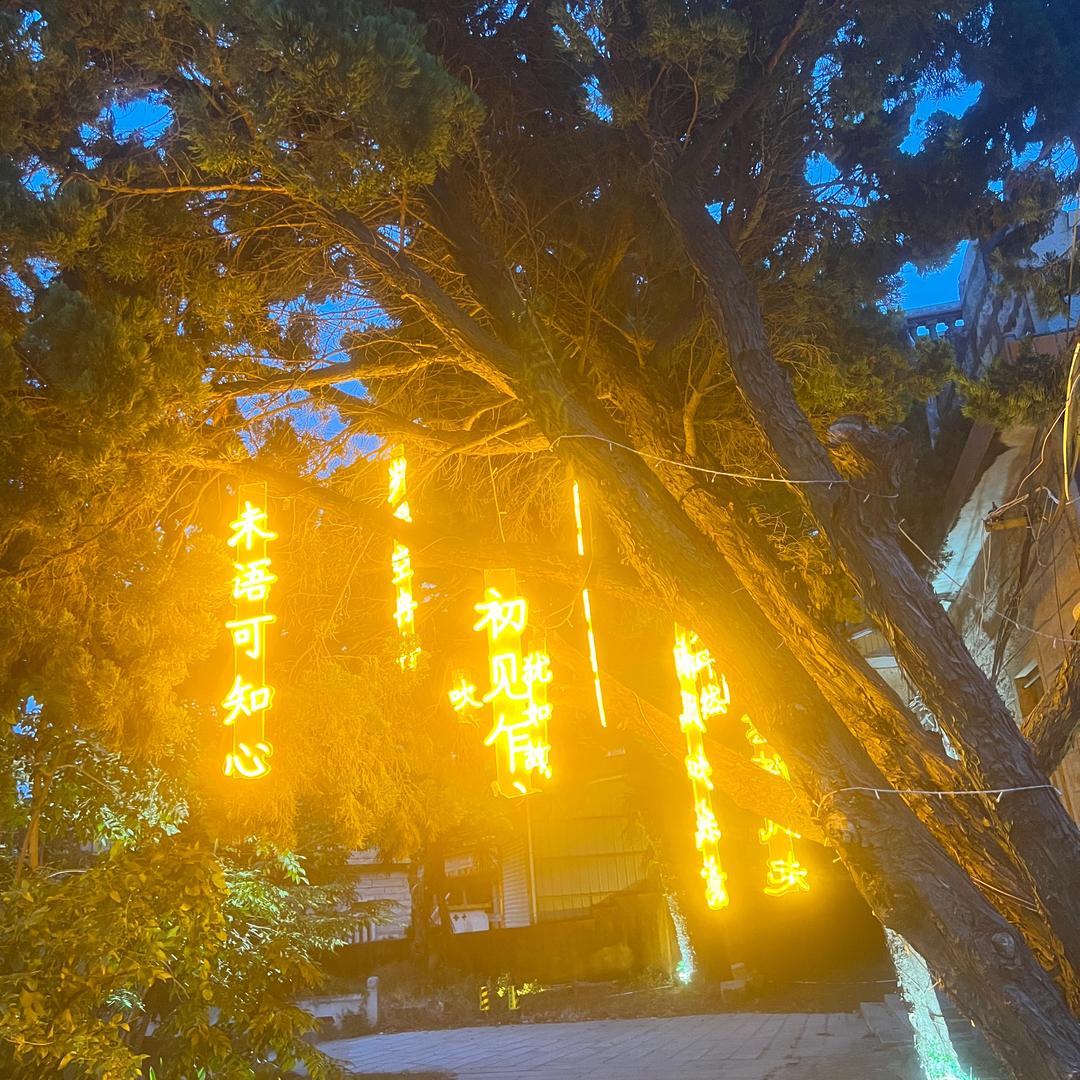 七安