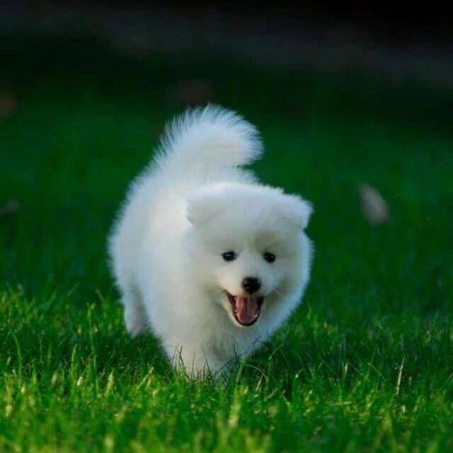 &🍒 静好@如初: ঞ🍒