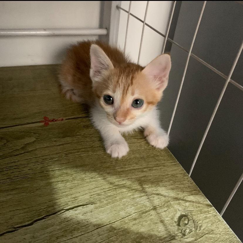 老男孩.酒搭子接单