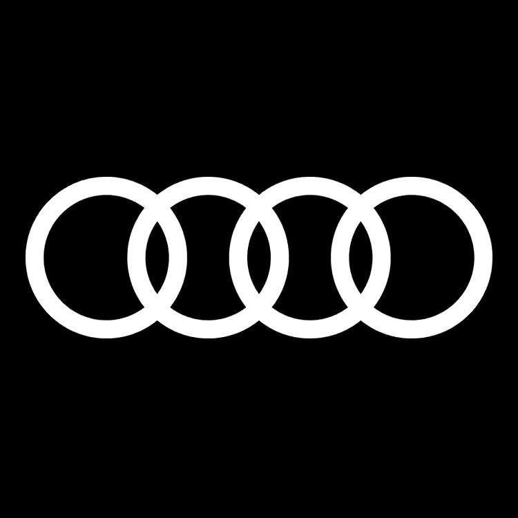 四川华星名仕奥迪