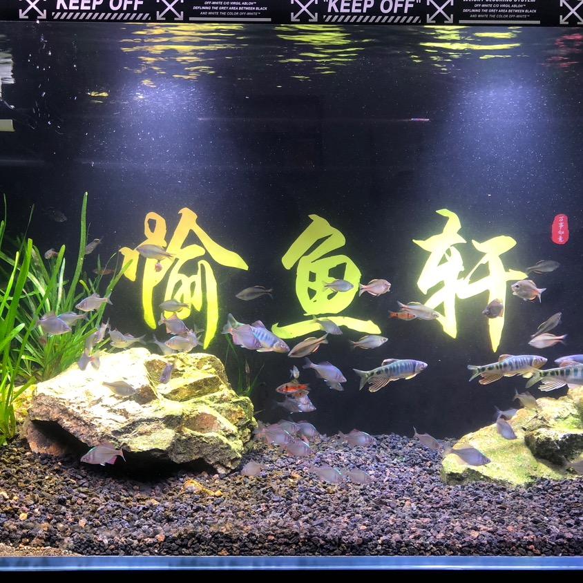 愉鱼轩