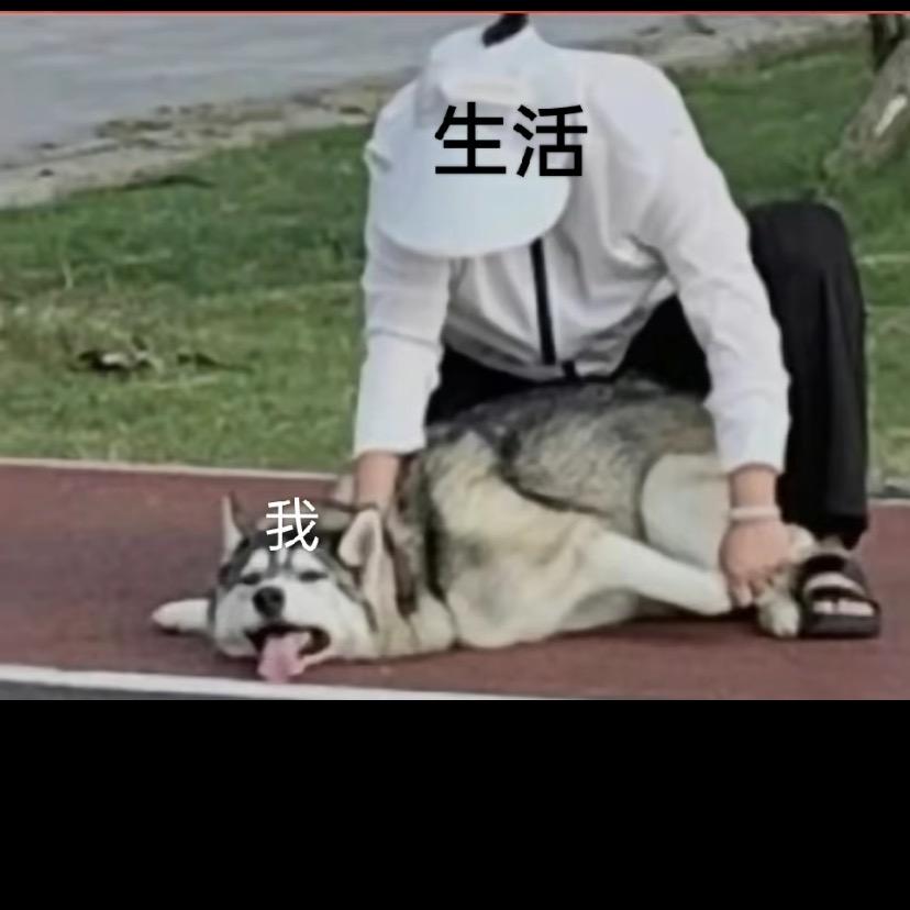 阿鹅