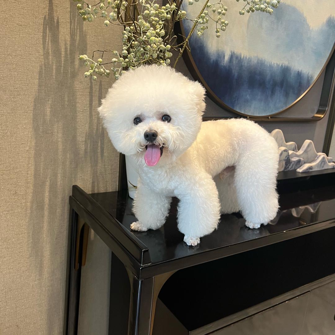 阳（被👍👀简介）