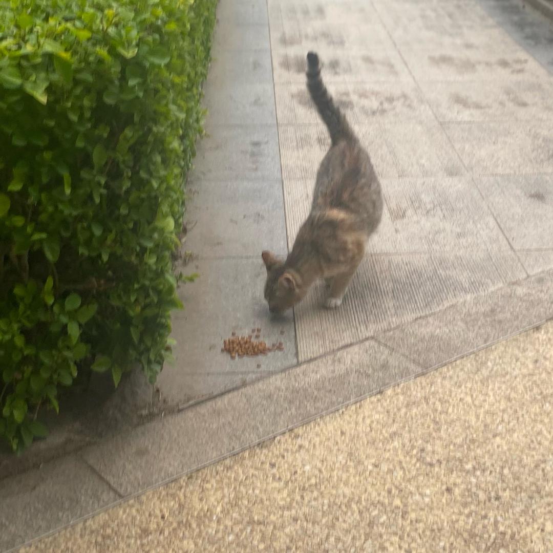 佳❤️亨振爱唱歌