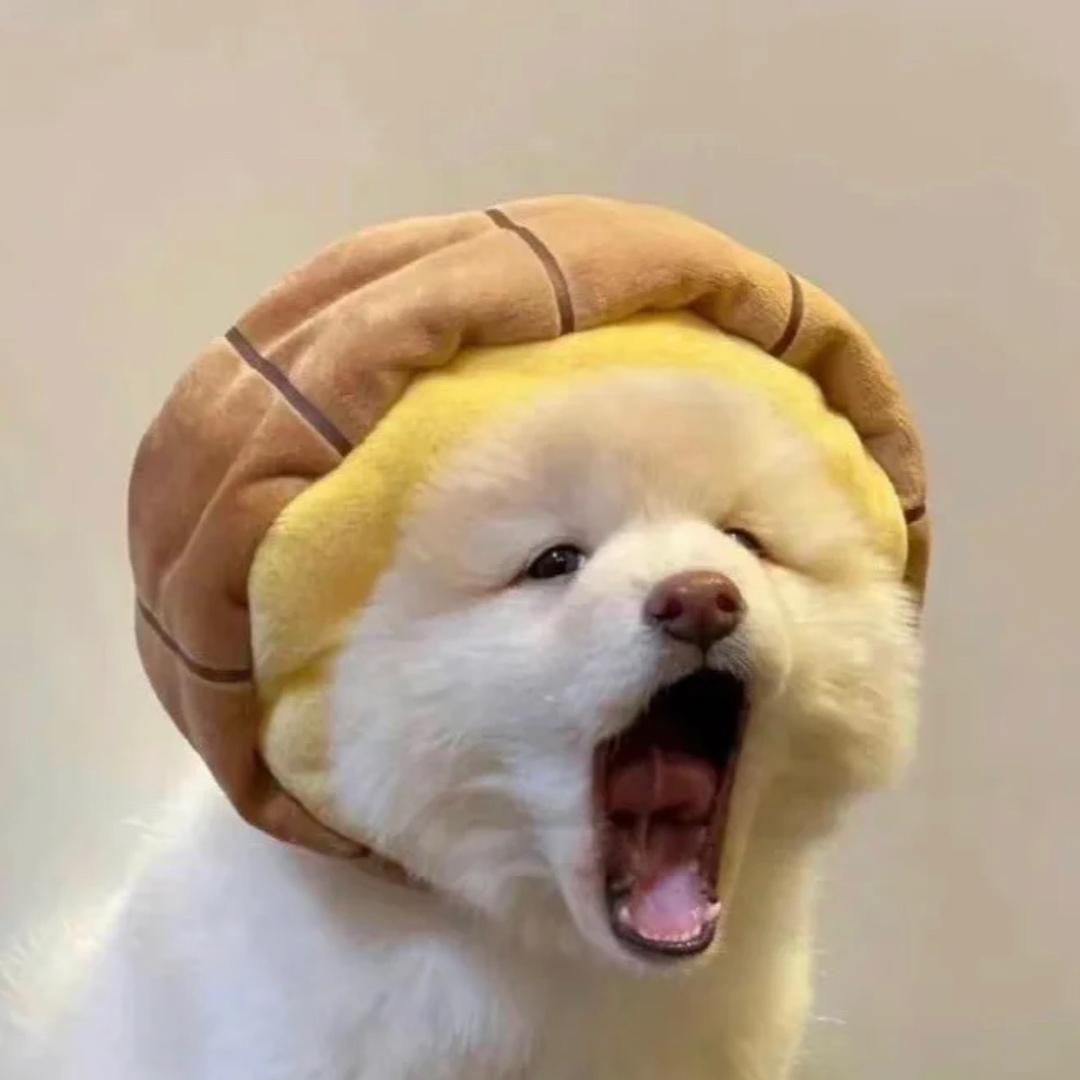 关你屁柿啊