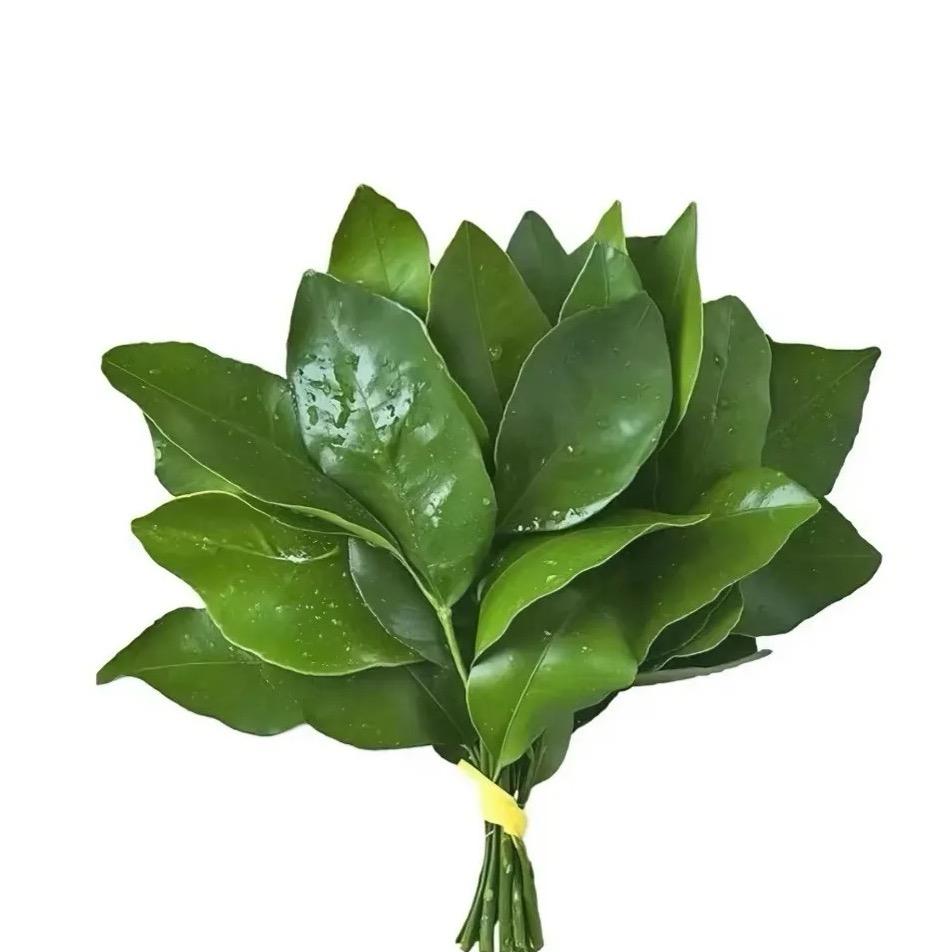 倩爷