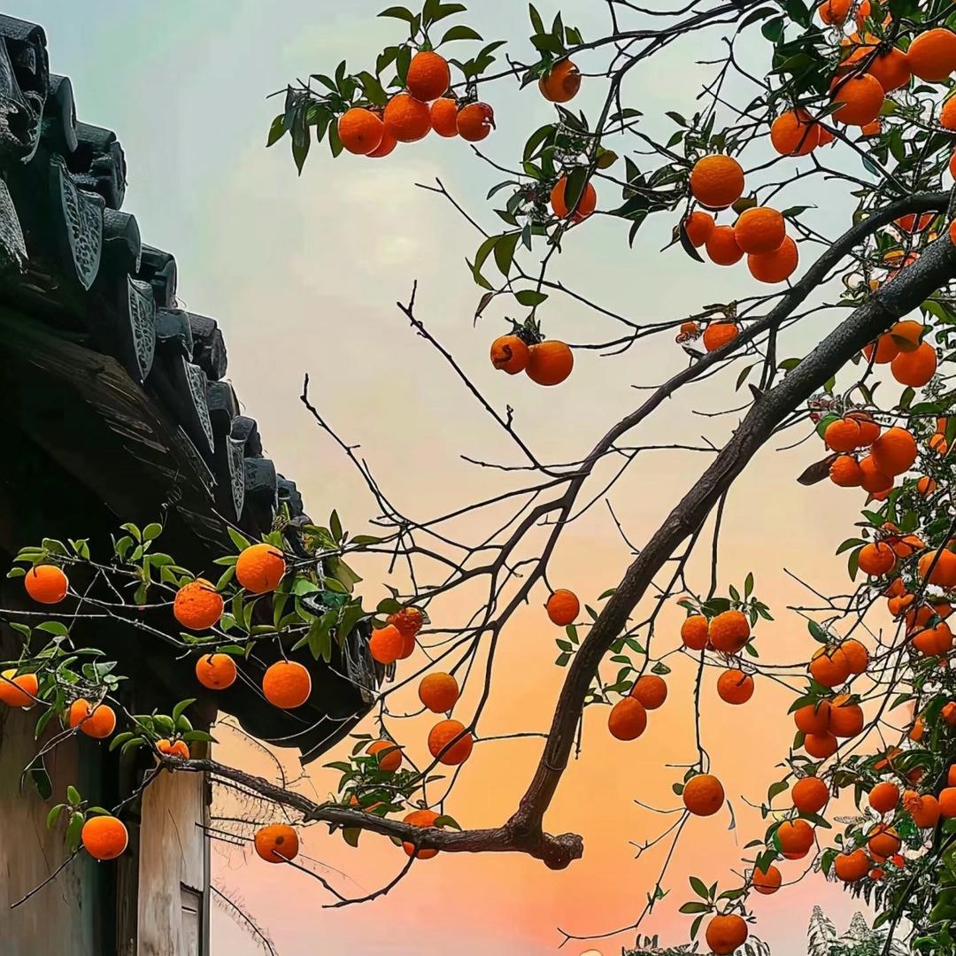 智慧说