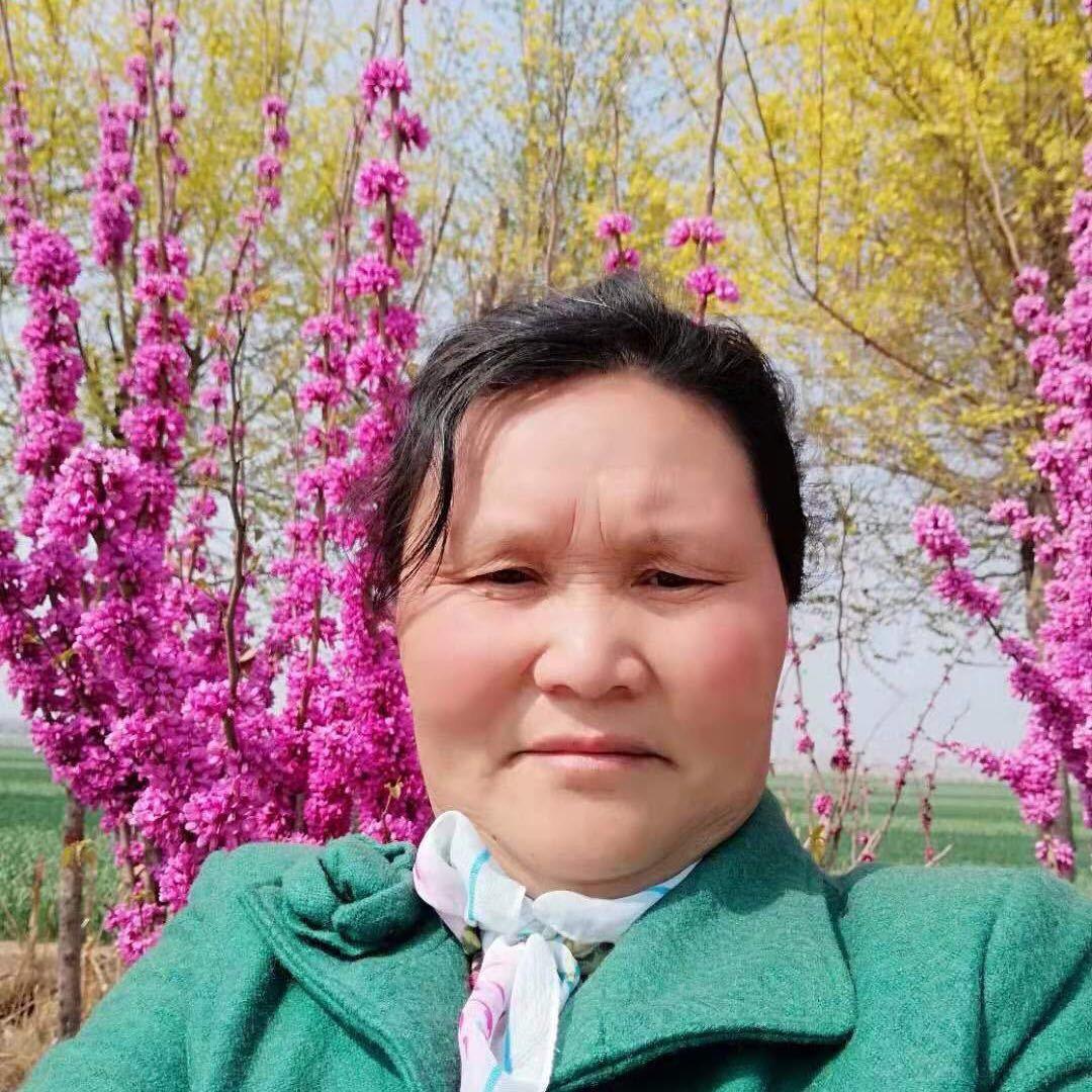 画农梅姐🌾@抖音