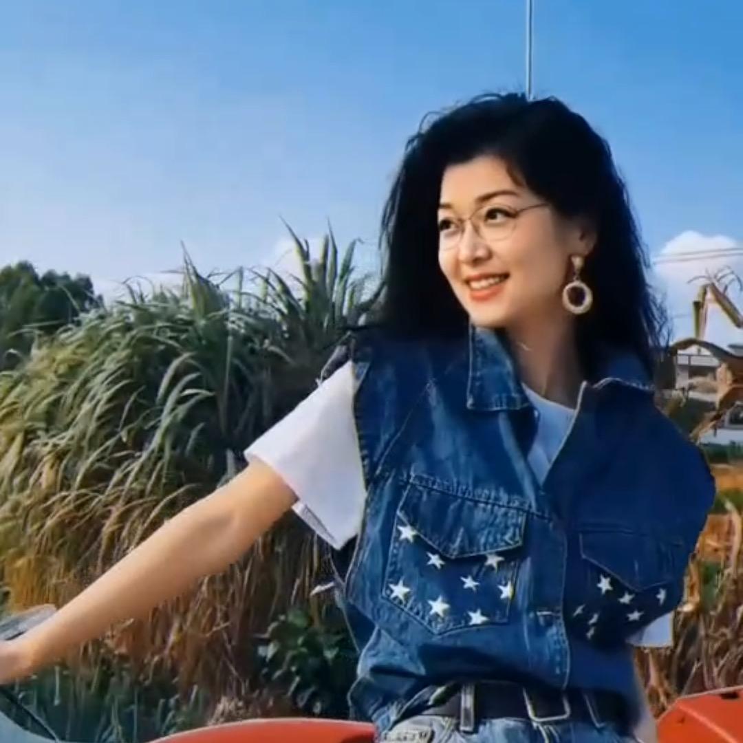 叶子  （下午3:30）