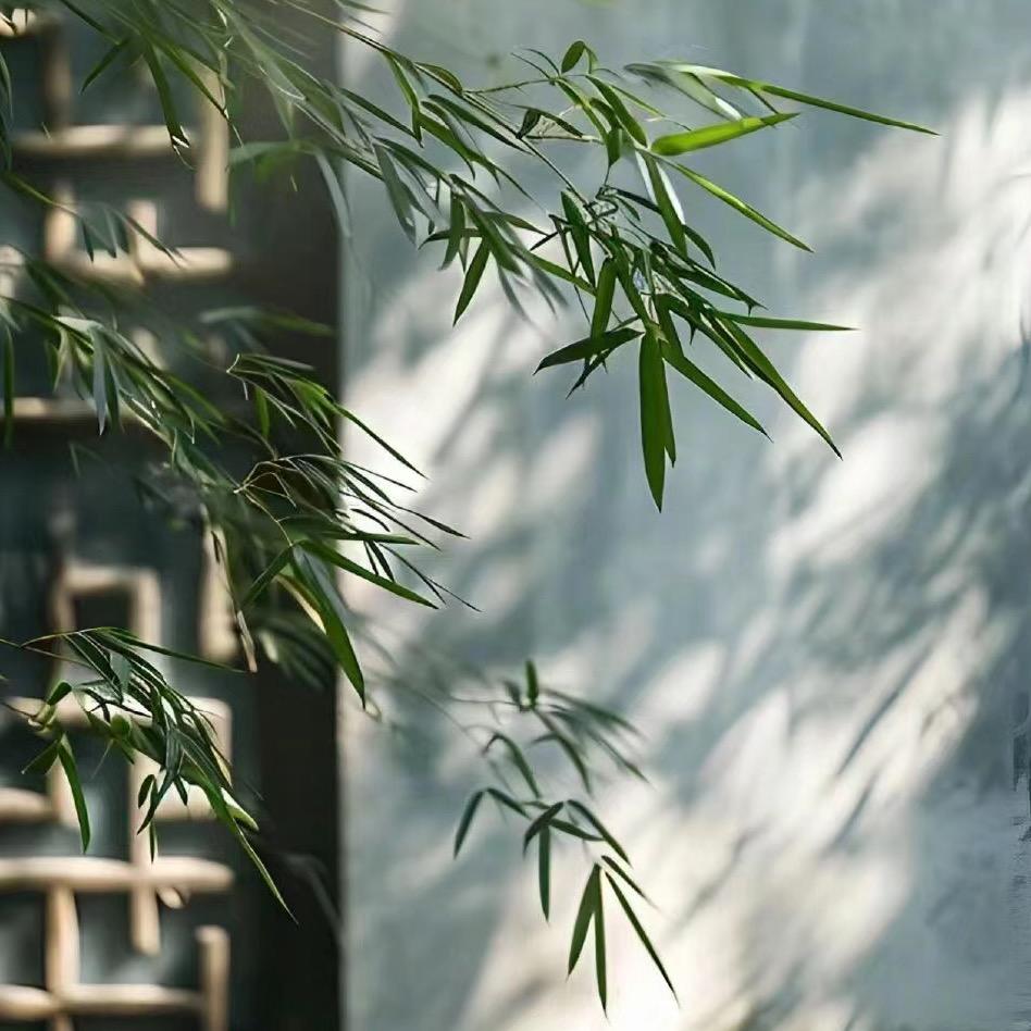 梦尧香舍中式熏香
