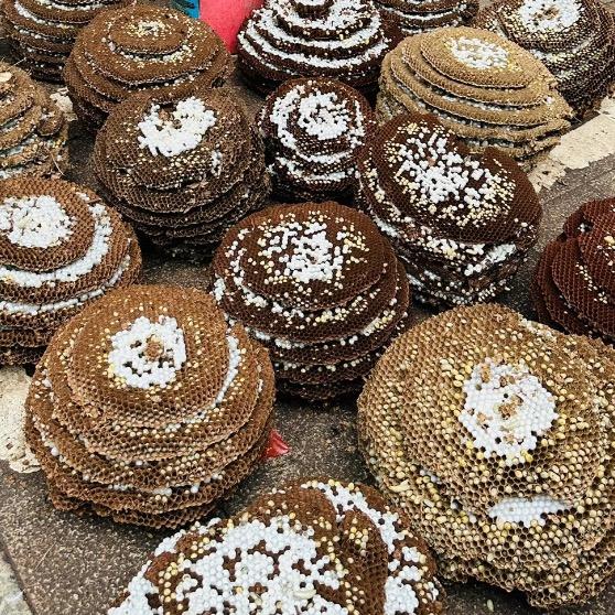 广西蜂蛹批发工作号2