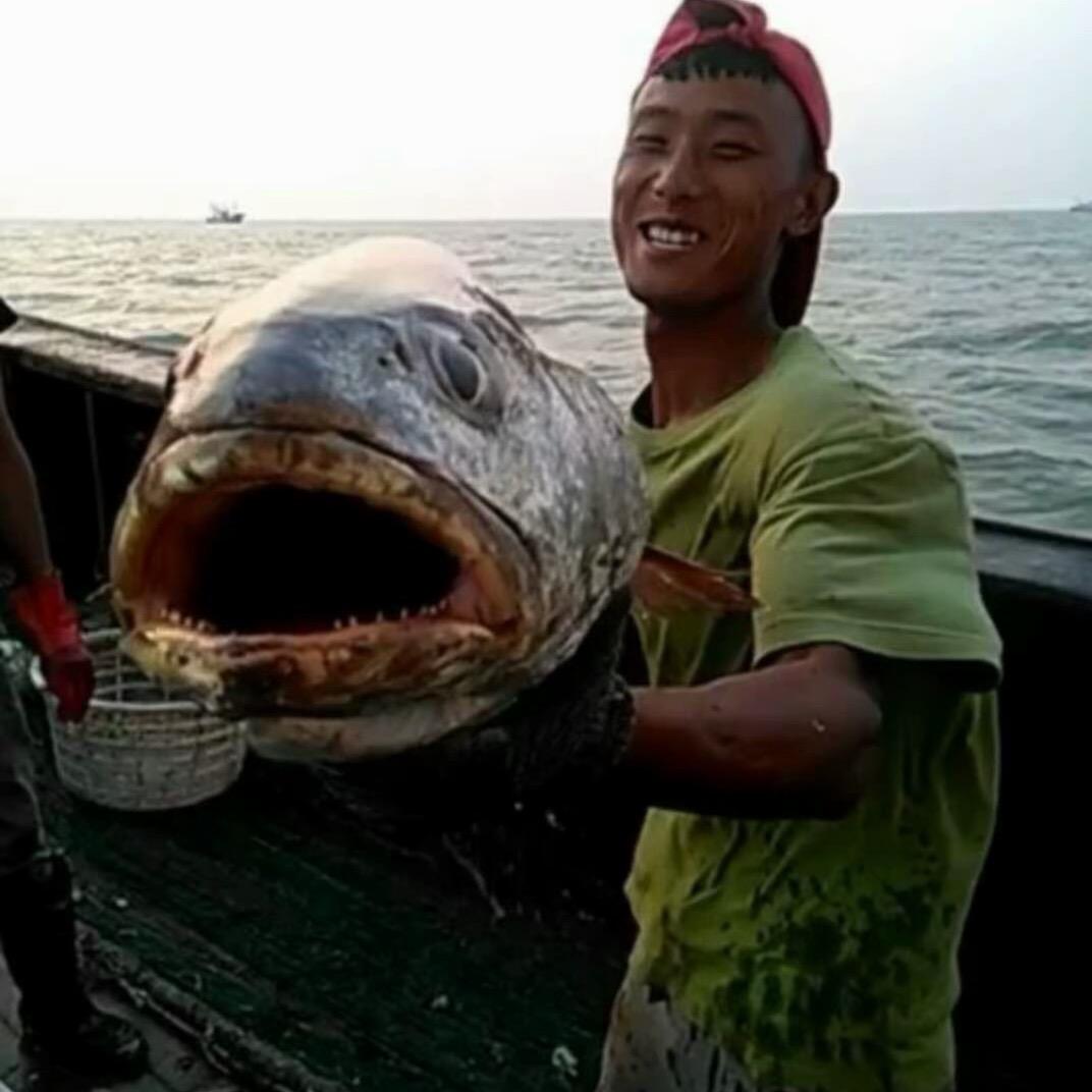 陈苏岗海产品
