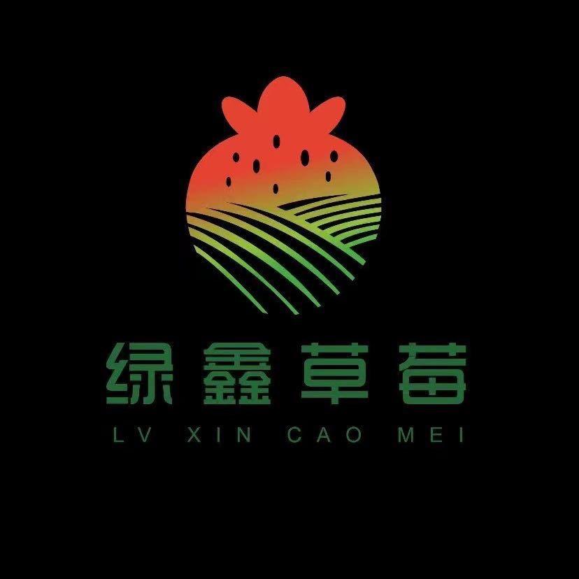 齐迪迪🐭