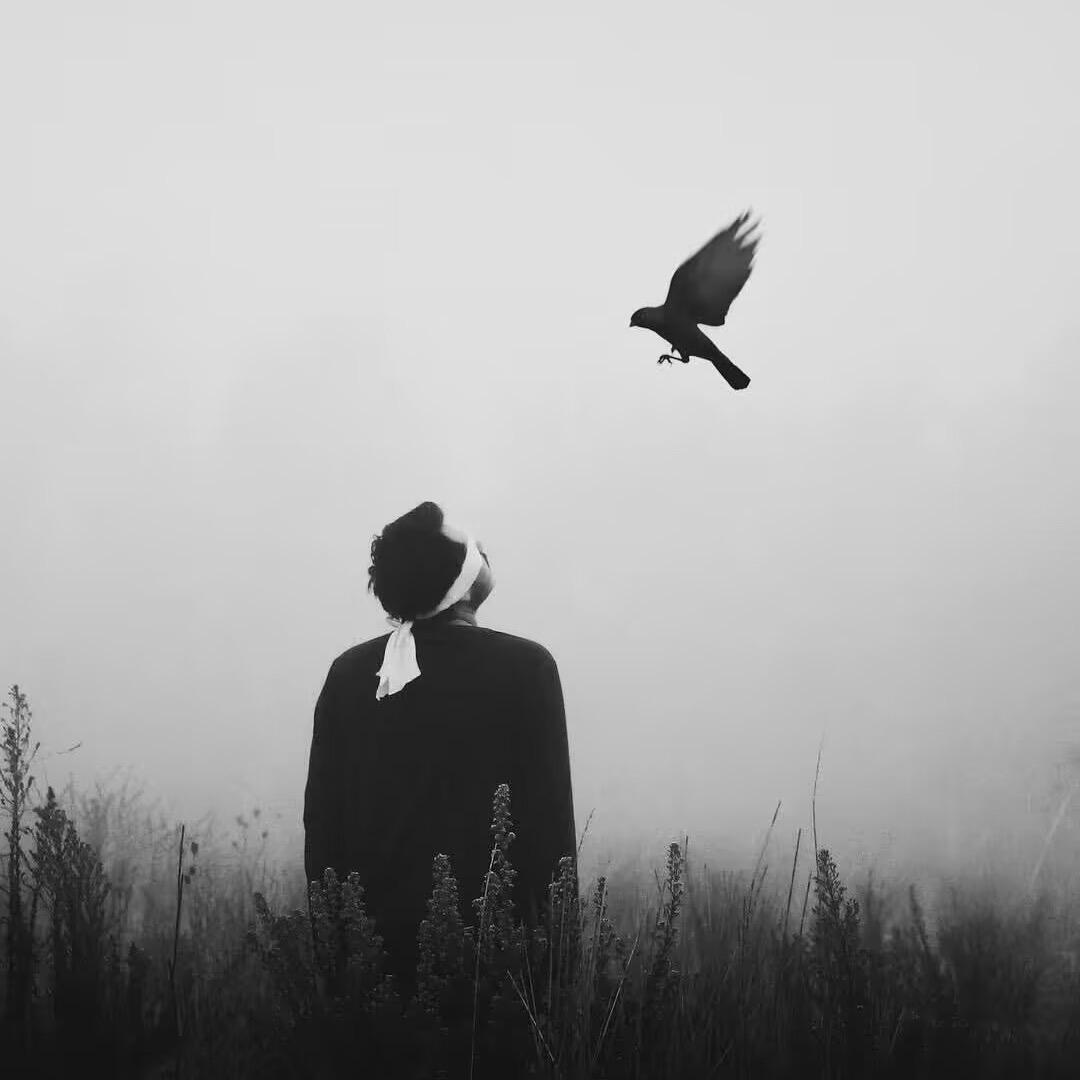 豆角🫛里没有焖面