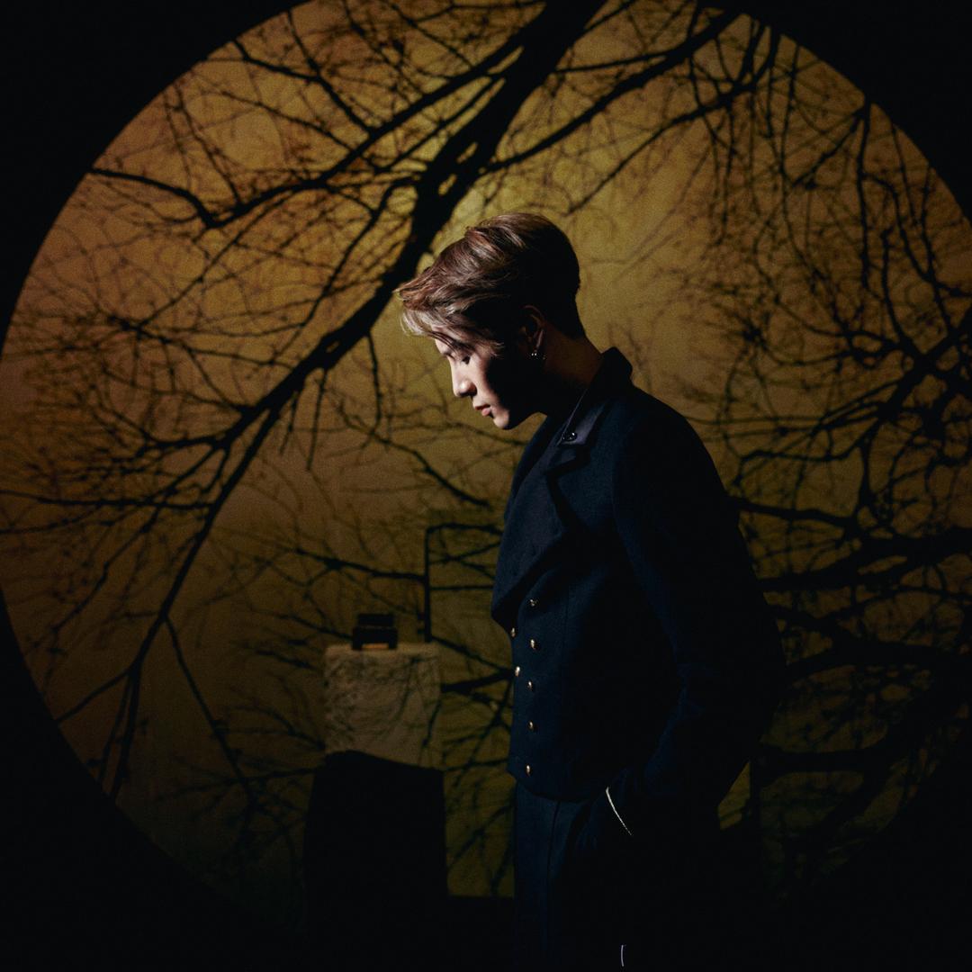 不是特别呜啦啦～