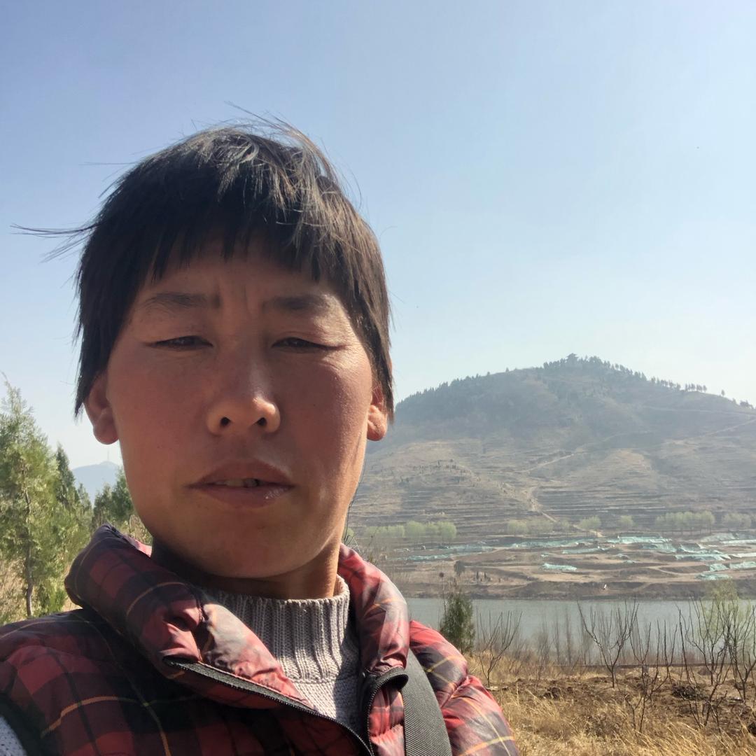 鼎轩栗子干果水果李姐批发零售