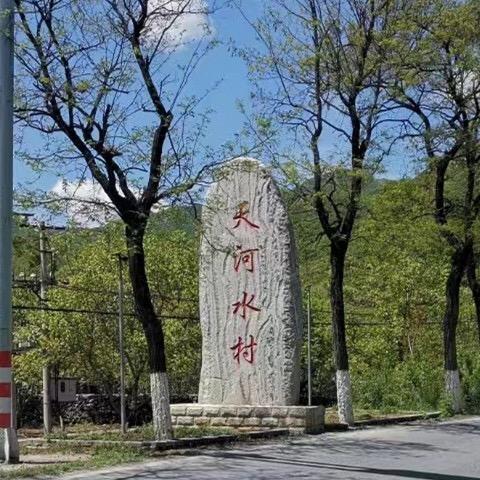 珍美天河水