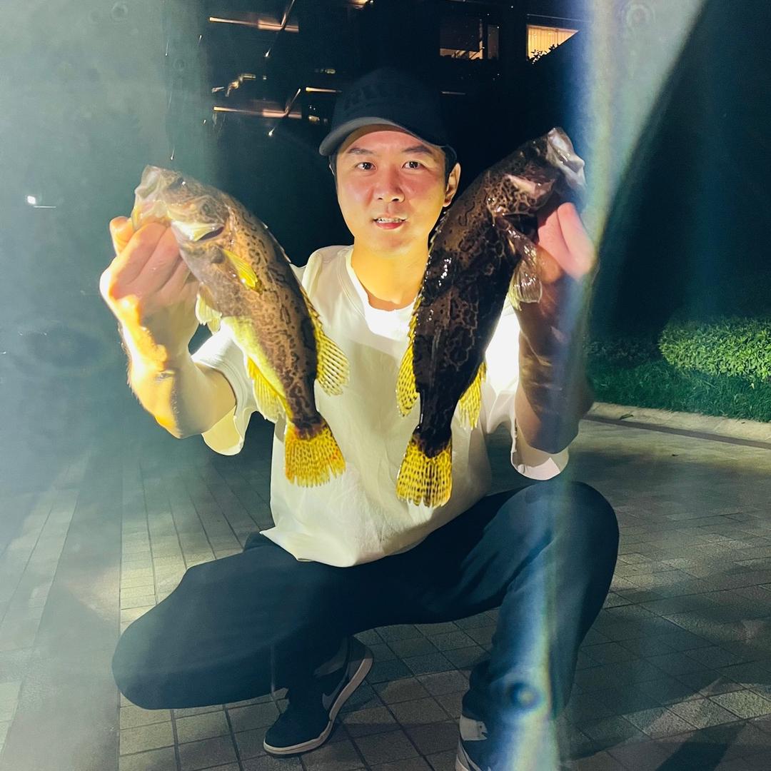 金鳜子🎣