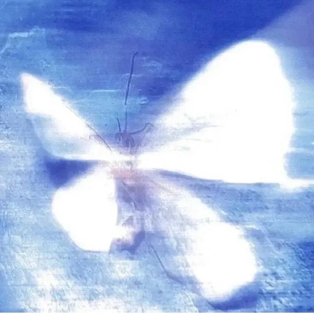 奇奇R