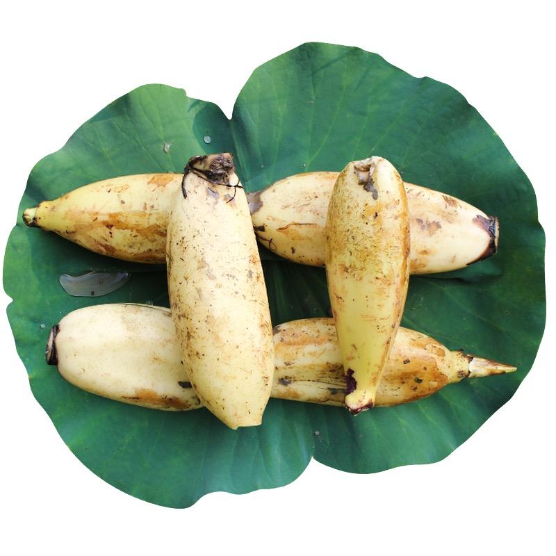 金丰源农品小铺