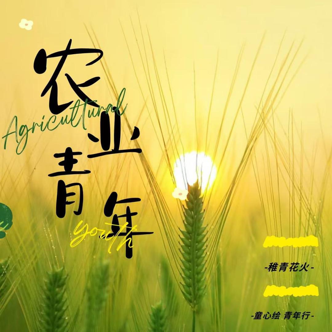 锄禾小农