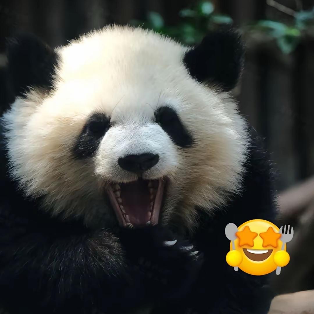 汽车搬运工