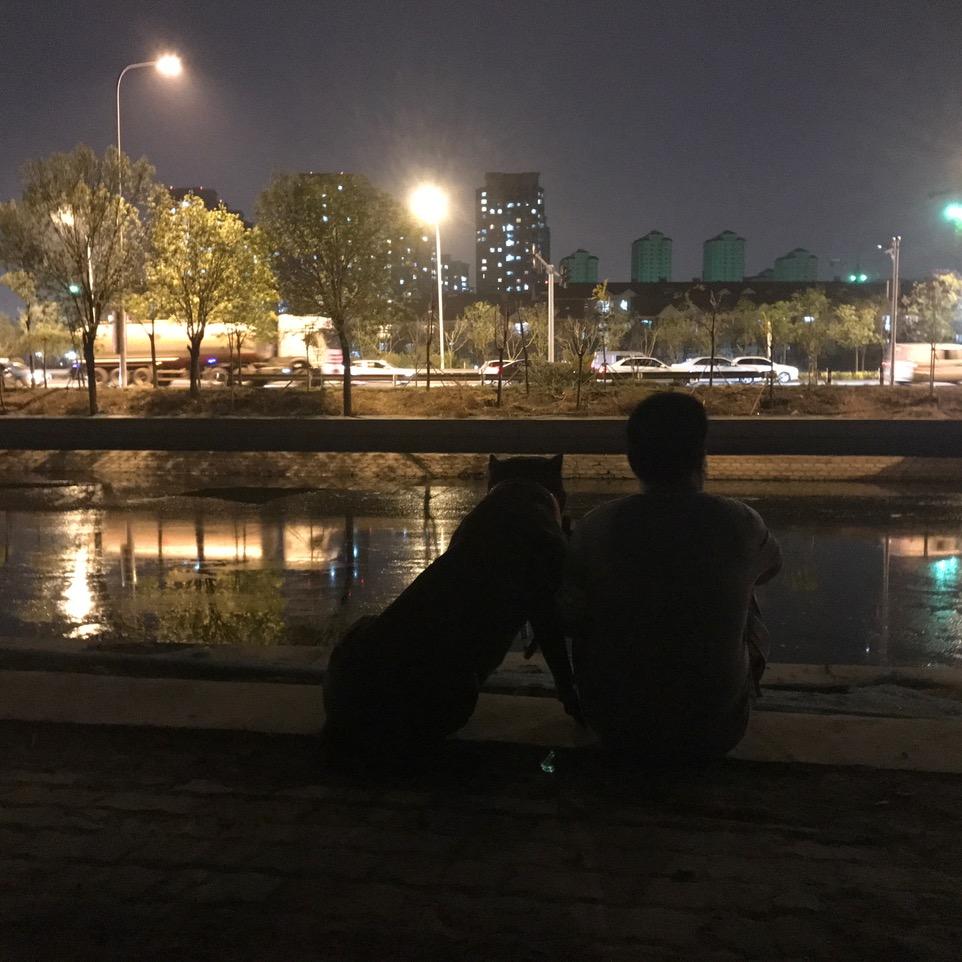 新哥醉了