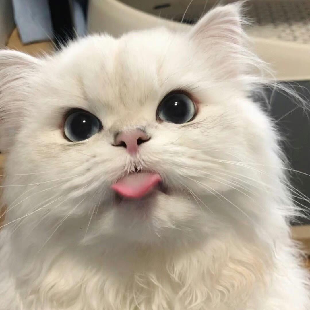 ✨
