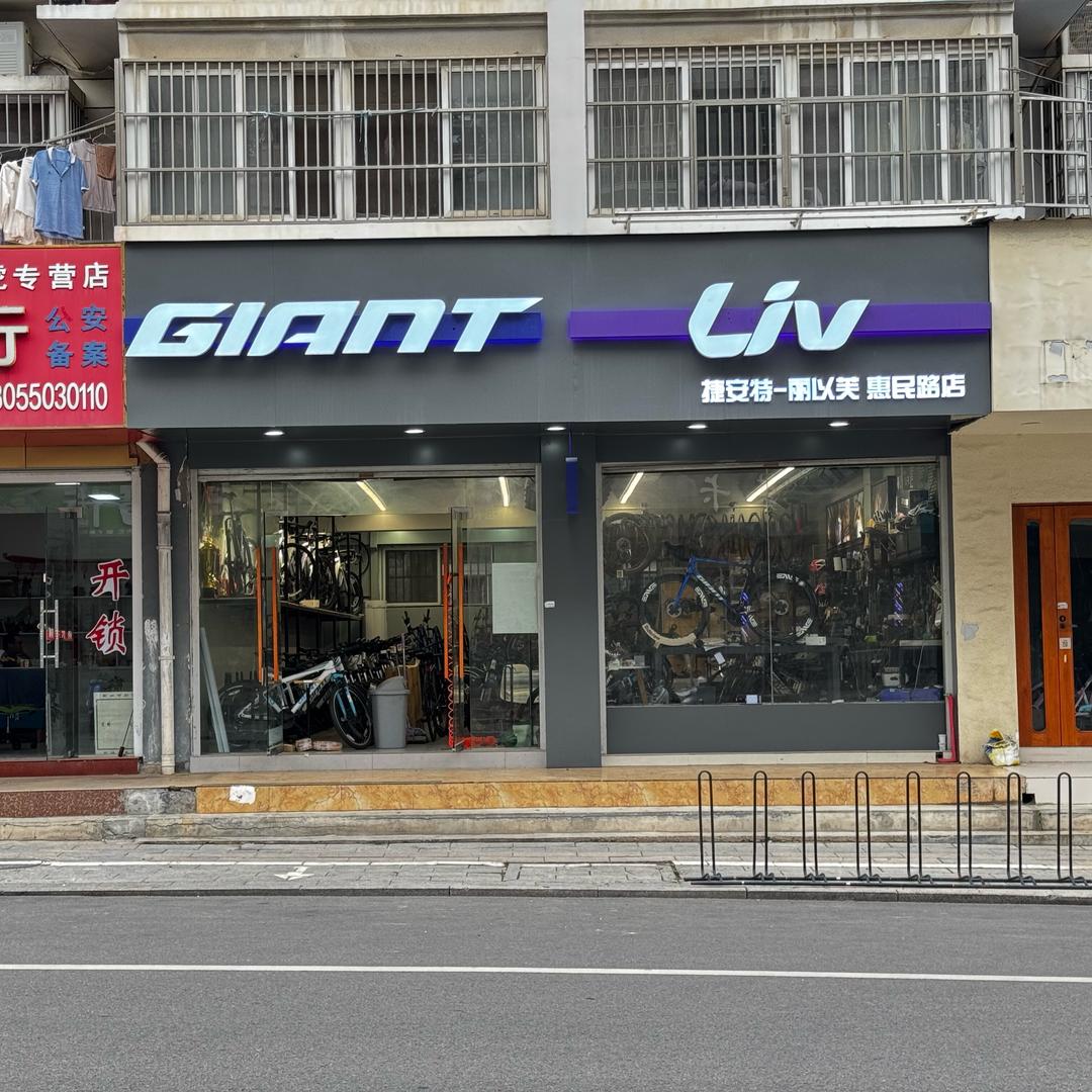 定远捷安特自行车   干干